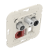 21544